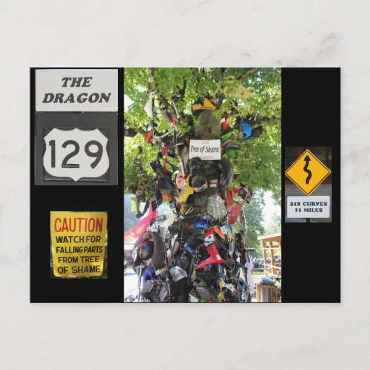 Schambaum Postkarte (Vorderseite)