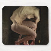 Schande 2012 mousepad (Vorne)