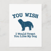 Schapendo Postkarte (Vorderseite)