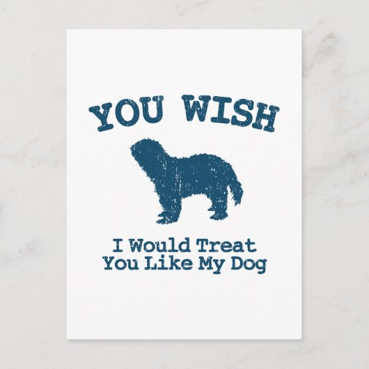 Schapendo Postkarte (Vorderseite)