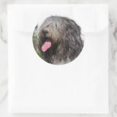 Schapendo Runder Aufkleber (Tasche)