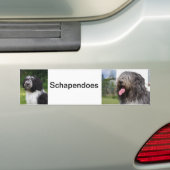 schapendoes autoaufkleber (Auf Auto)