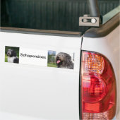 schapendoes autoaufkleber (Auf Lkw)