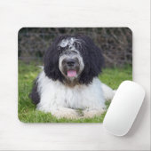 schapendoes mousepad (Mit Mouse)