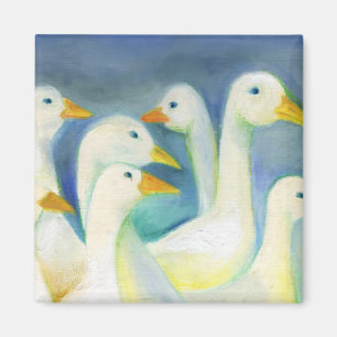Schar 2012 magnet