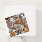 scharf aussehende Muscheln Geschenkanhänger (Beispiel)