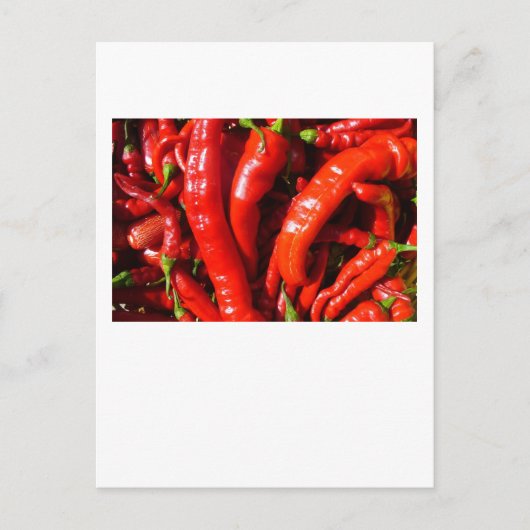 scharf! postkarte (Vorderseite)