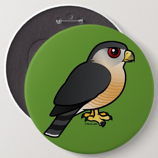 Scharf-shinned Falke Button (Vorne & Hinten)