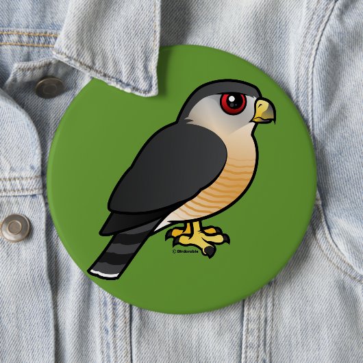 Scharf-shinned Falke Button (Beispiel)
