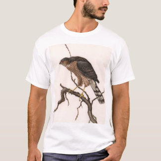 Scharf-shinned Falke, erwachsene Frau T-Shirt