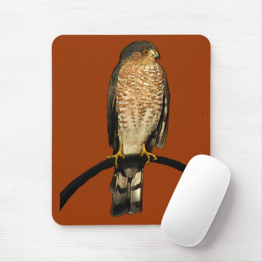Scharf-shinned Falke Mousepad (Mit Mouse)