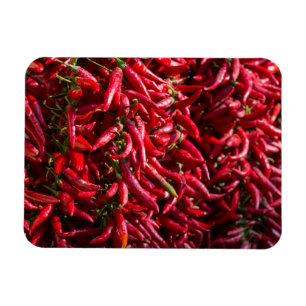 Scharfe rote Chili in der Stadt Kalocsa Magnet