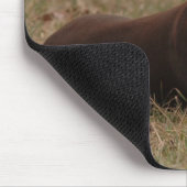 Scharfer Rot-und Rost-weiblicher DobermannPinscher Mousepad (Ecke)