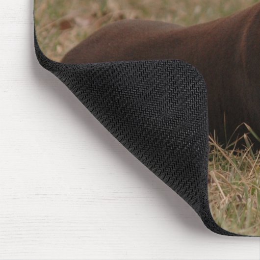 Scharfer Rot-und Rost-weiblicher DobermannPinscher Mousepad (Ecke)