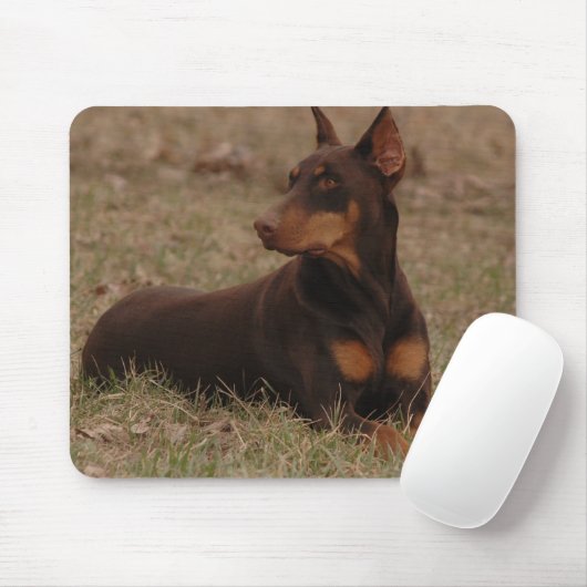 Scharfer Rot-und Rost-weiblicher DobermannPinscher Mousepad (Mit Mouse)