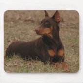 Scharfer Rot-und Rost-weiblicher DobermannPinscher Mousepad (Vorne)