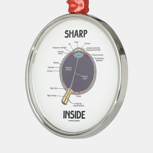 Scharfes Innere des Augen-(i) (anatomischer Silbernes Ornament (Links)