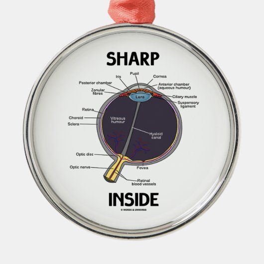 Scharfes Innere des Augen-(i) (anatomischer Silbernes Ornament (Vorne)