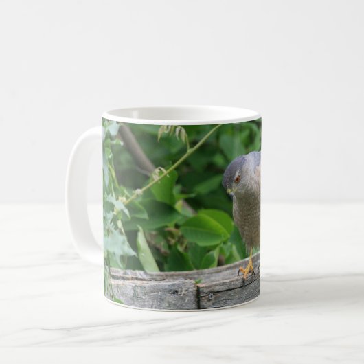 Scharfes Shinned Falke, der Ihren Garten aufpasst Kaffeetasse (Vorderseite Links)