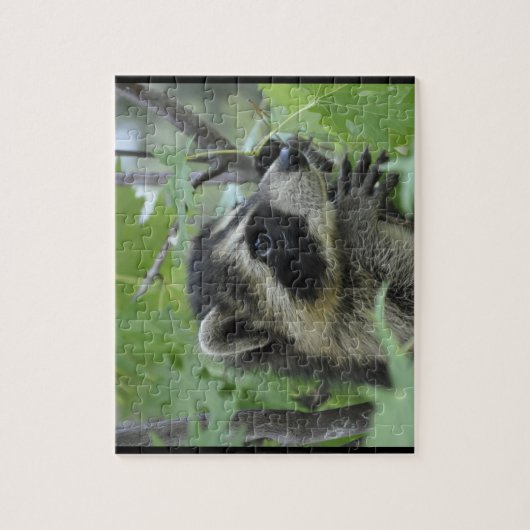 Scharfsinniger Waschbär - Puzzle (Vertikal)