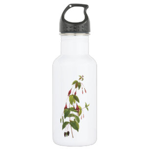 Scharlach fuchsia (Fuchsia coccinea) von Redouté Edelstahlflasche