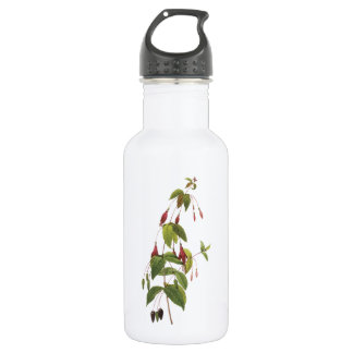 Scharlach fuchsia (Fuchsia coccinea) von Redouté Edelstahlflasche