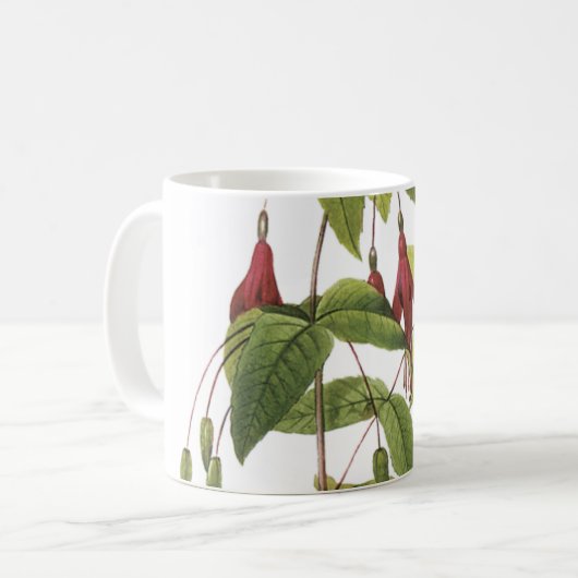 Scharlach fuchsia (Fuchsia coccinea) von Redouté Kaffeetasse (Vorderseite Links)