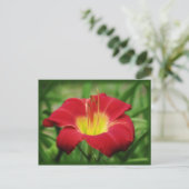 Scharlach mit grün - Taglilie Postkarte (Stehend Vorderseite)