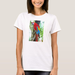Scharlach, Papagei auf dem T - Shirt der Frau