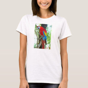 Scharlach, Papagei auf dem T - Shirt der Frau