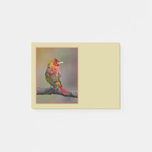 Scharlach-Tangare Mauser - Original-Fotografie Post-it Klebezettel
