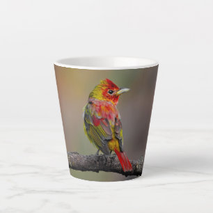 Scharlach-Tangare-Mauser - Originalfotografie Milchtasse