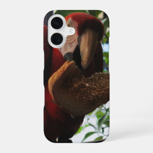 Scharlachara Papagei isst Toast iPhone 16 Hülle