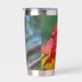 Scharlachara Thermobecher (Rechts)