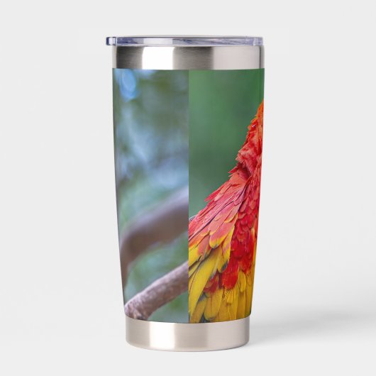 Scharlachara Thermobecher (Rechts)