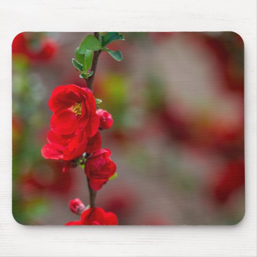 Scharlachlinie Mousepad (Vorne)