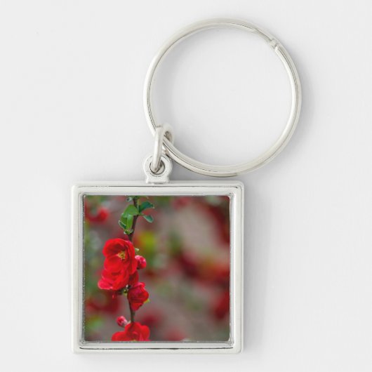 Scharlachlinie Schlüsselanhänger (Vorne)