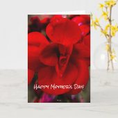 Scharlachrot Begonien- Karte (Gelbe Blume)