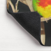 Scharlachrot-Chested Parakeet - Neophema splendida Mousepad (Ecke)