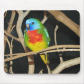 Scharlachrot-Chested Parakeet - Neophema splendida Mousepad (Vorne)