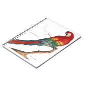 Scharlachrot des Macaw-, Ara Macao Notizblock (Linke Seite)