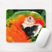 Scharlachrot des Macaw-Mousepad Mousepad (Mit Mouse)
