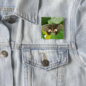 Scharlachrot-Frack-Schmetterlingstaste Button (Beispiel)