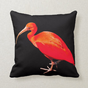 Scharlachrot IBIS Kissen