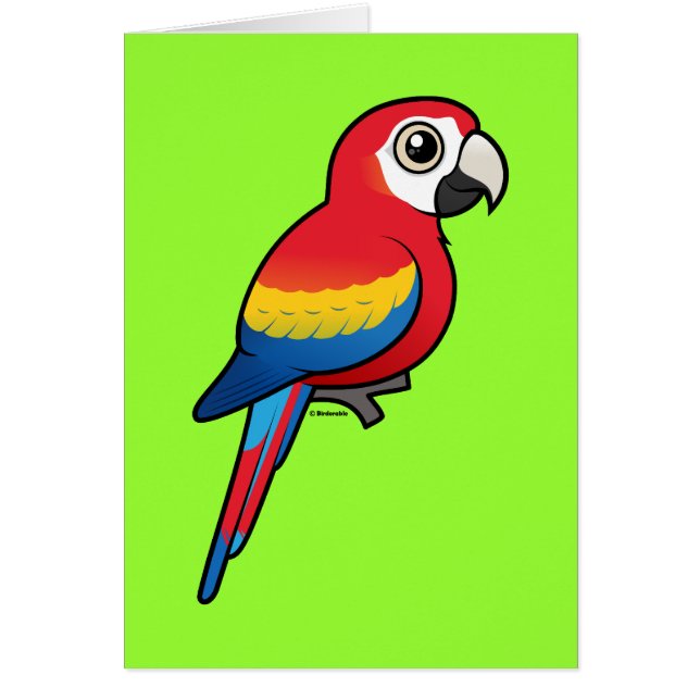 Scharlachrot Macaw- (Vorne)