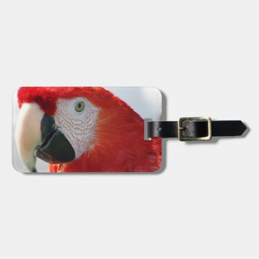 Scharlachrot Macaw-Gepäckanhänger- Gepäckanhänger (Vorderseite horizontal)