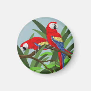 Scharlachrot Macaw-Magnet- Magnet