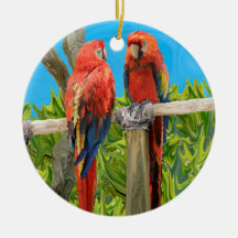 Scharlachrot Macaw-Papageien-Hocken