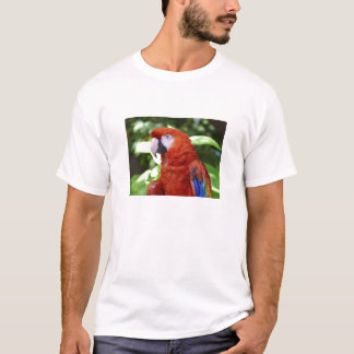 Scharlachrot Macaw- T-Shirt
