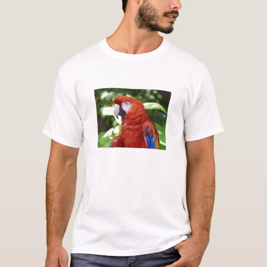 Scharlachrot Macaw- T-Shirt (Vorderseite)